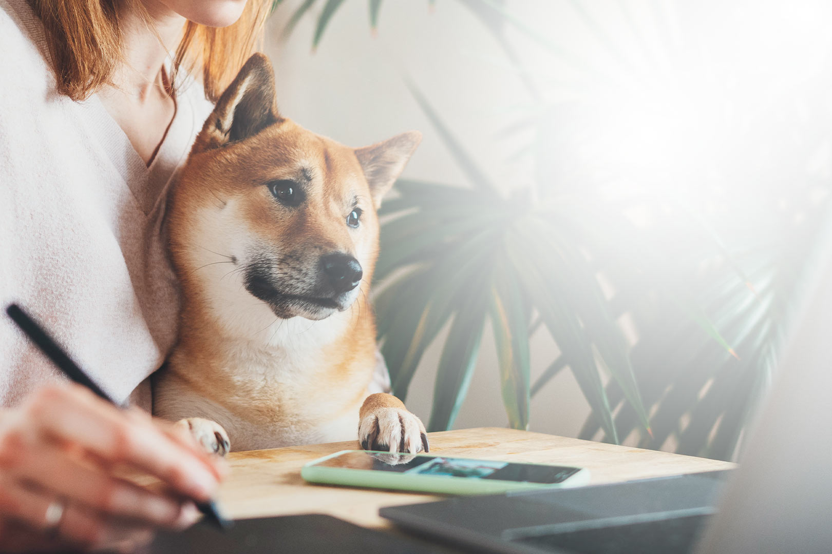 Stepp-und-Stepp-Immobilien-02