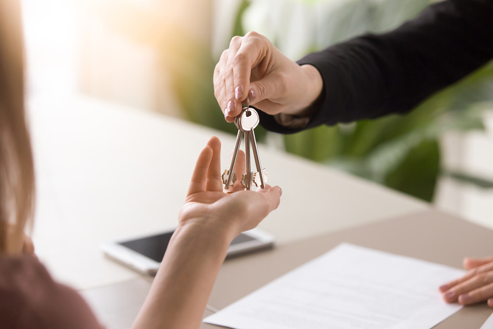 Stepp-und-Stepp-Unternehmensnachfolge-d